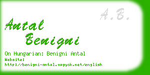 antal benigni business card